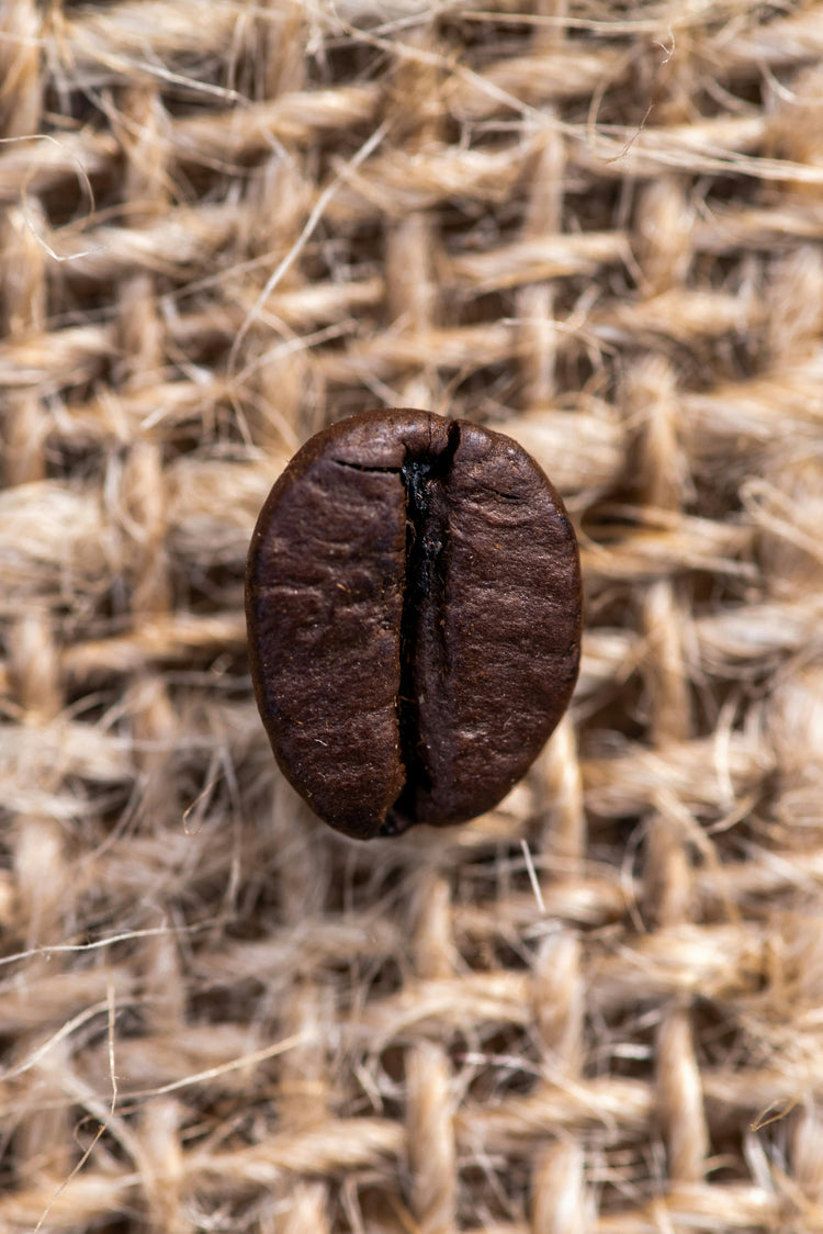 Medium Roast Coffee