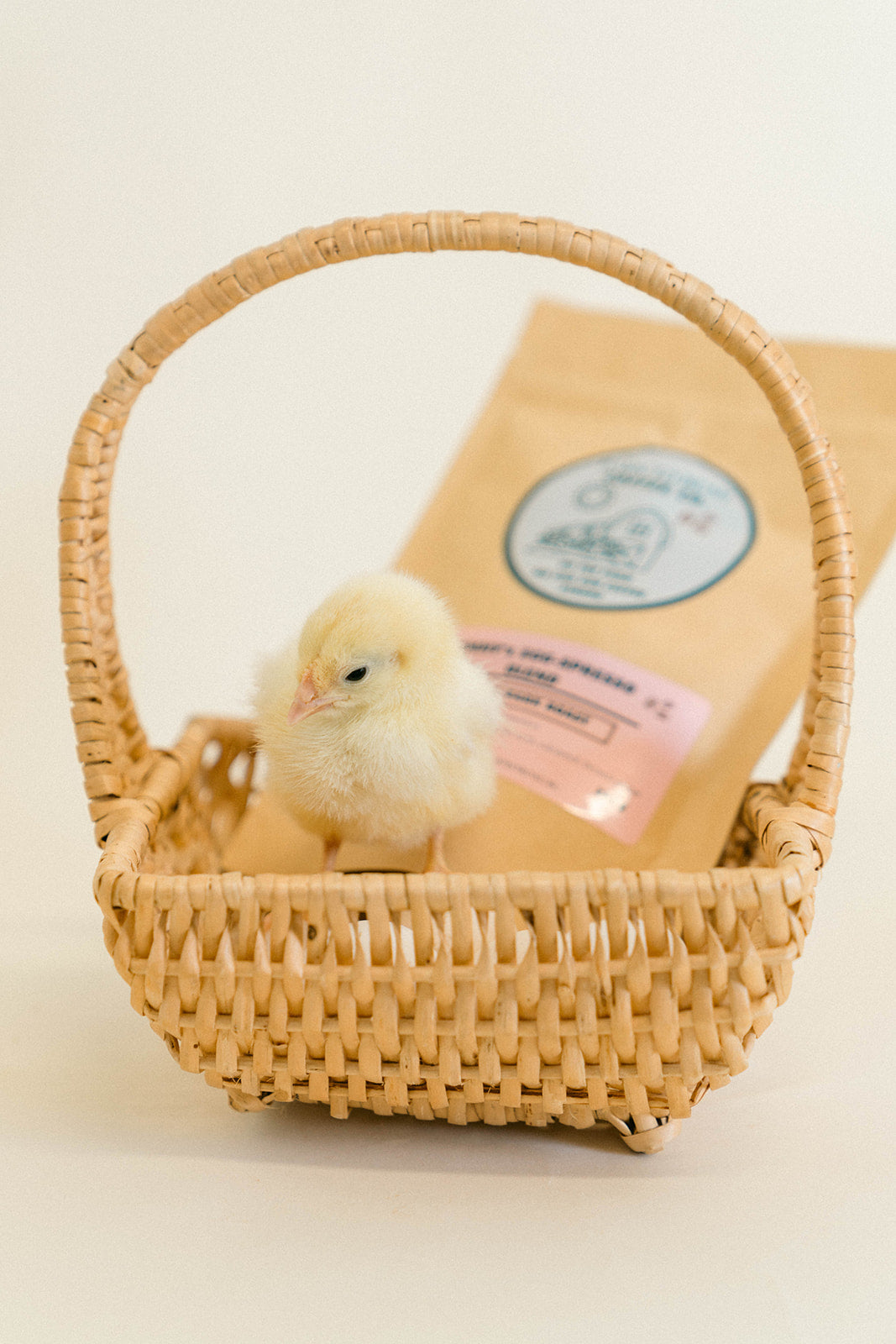 Emmy's Egg-Spresso Blend