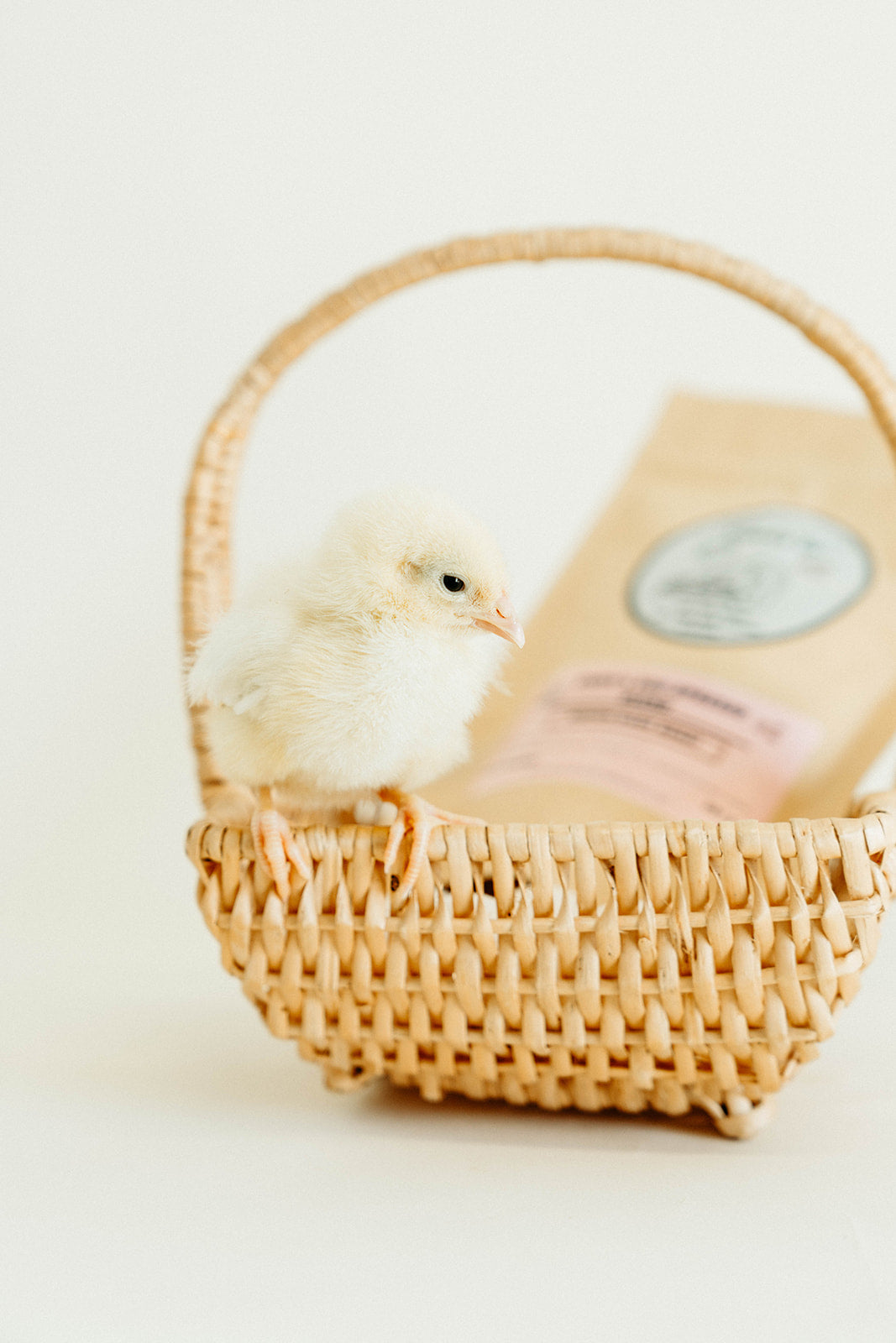 Emmy's Egg-Spresso Blend